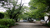 gokoku29 (101)_thumb.png